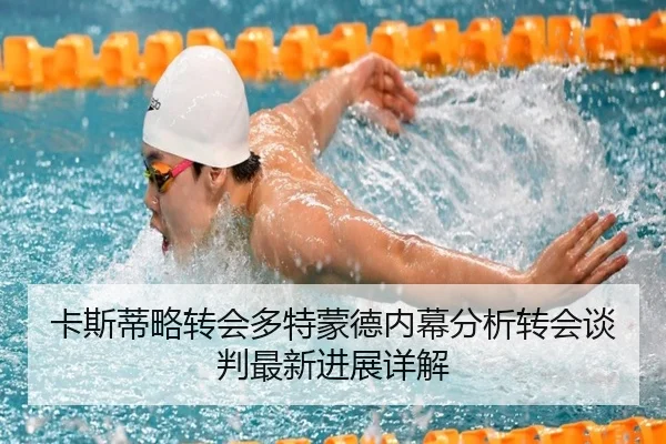 卡斯蒂略转会多特蒙德内幕分析转会谈判最新进展详解