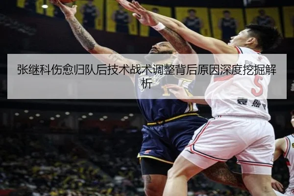 张继科伤愈归队后技术战术调整背后原因深度挖掘解析