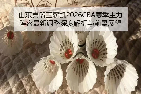 山东男篮王薪凯2026CBA赛季主力阵容最新调整深度解析与前景展望