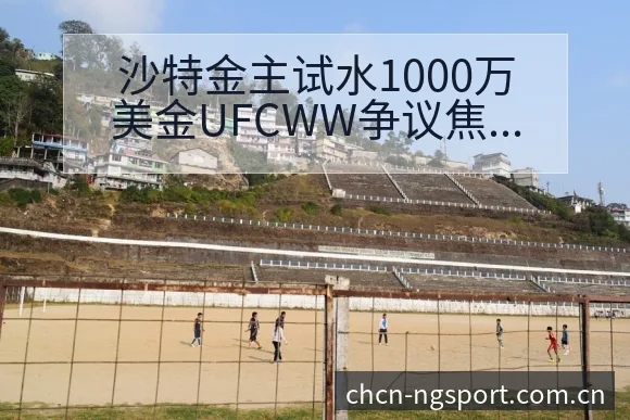 沙特金主试水1000万美金UFCWW争议焦点与历史表现分 - NG体育