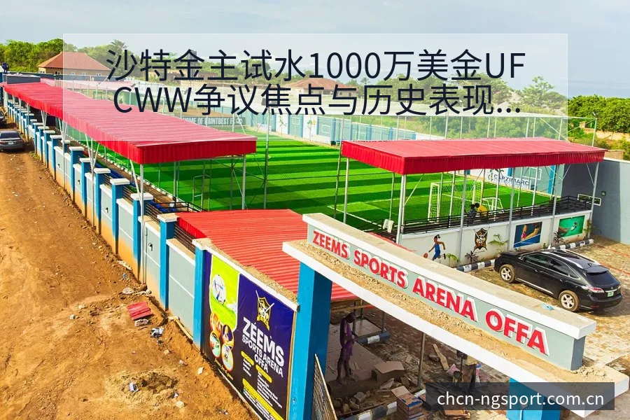 沙特金主试水1000万美金UFCWW争议焦点与历史表现分 - NG体育